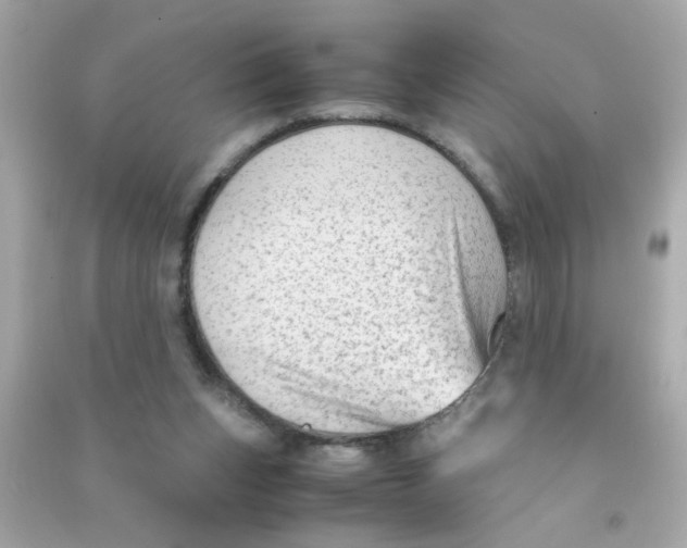 X0000090470159200708102141