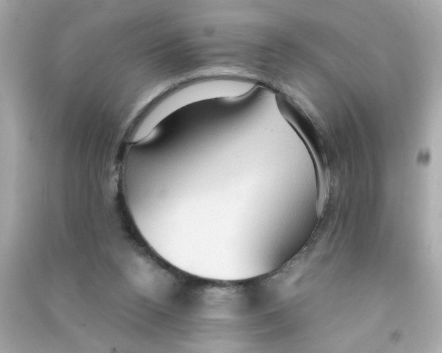 X0000090470160200708102141