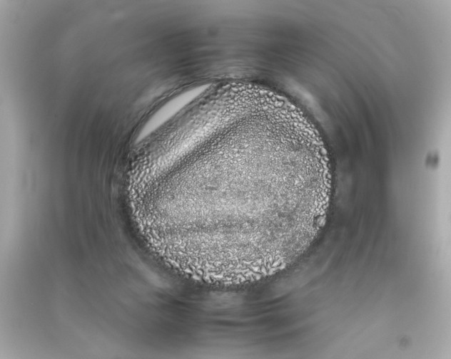 X0000090470161200708102141