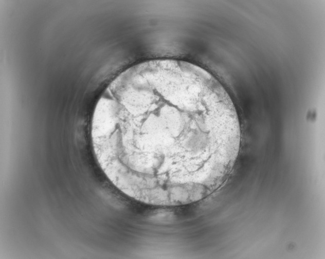 X0000090470162200708102141