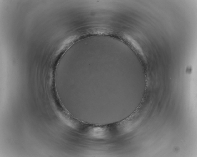 X0000090470163200708102141