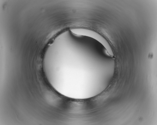 X0000090470164200708102141