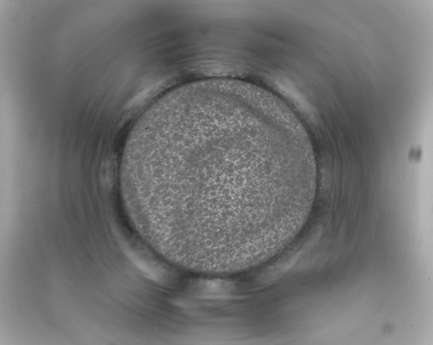 X0000090470165200708102141