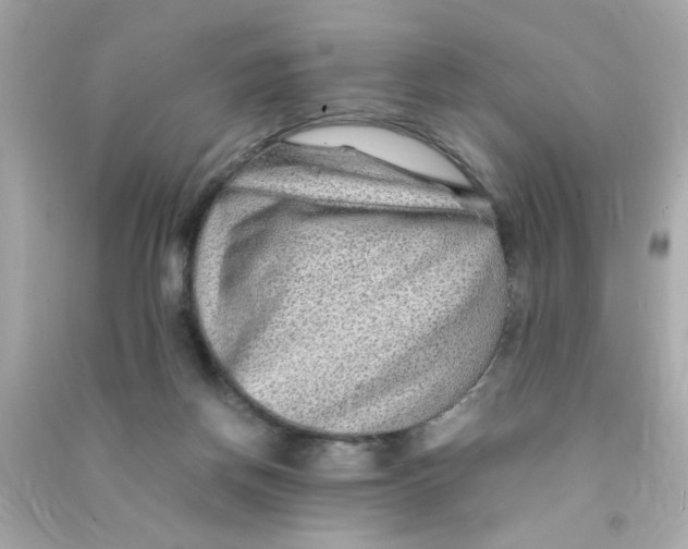 X0000090470166200708102141