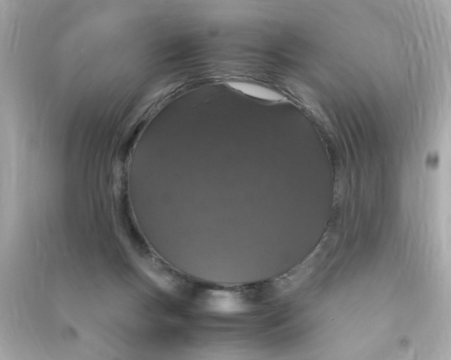 X0000090470167200708102141