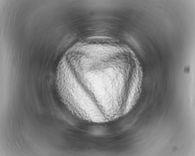 X0000090470169200708102141