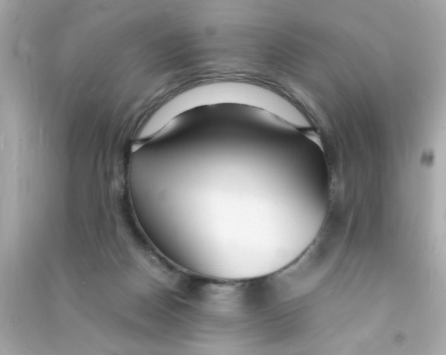 X0000090470170200708102141