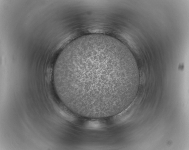 X0000090470171200708102141