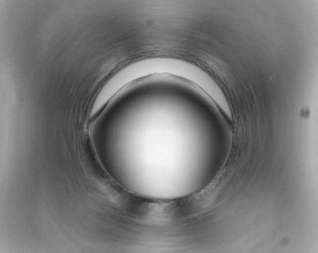 X0000090470172200708102141