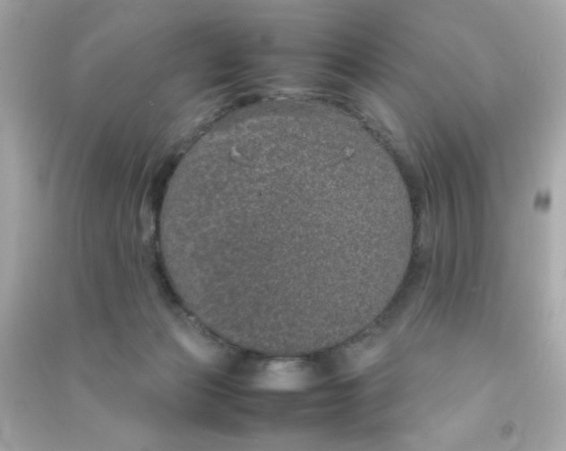 X0000090470173200708102141