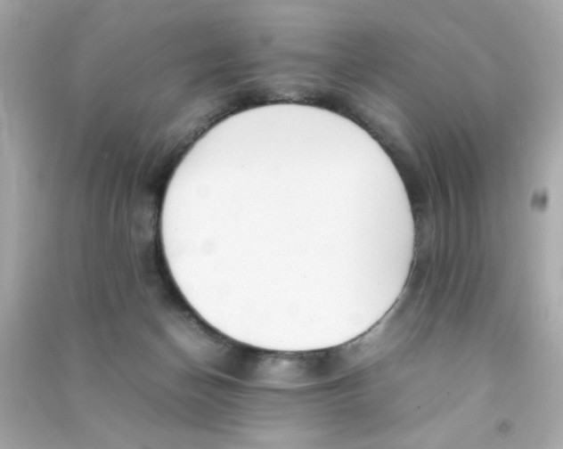 X0000090470174200708102141