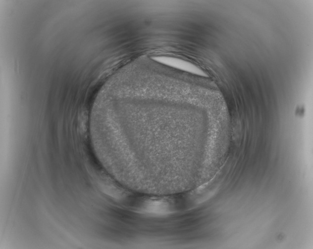 X0000090470175200708102141