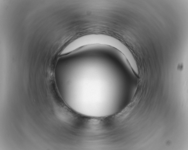 X0000090470176200708102141