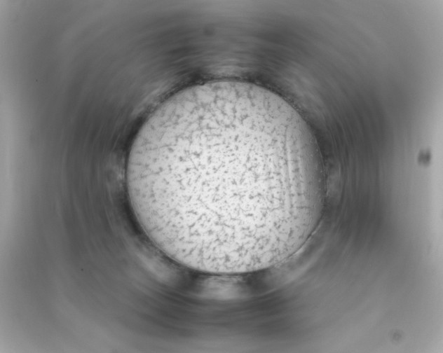 X0000090470179200708102141