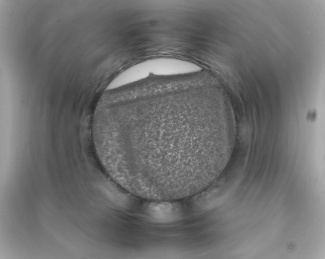 X0000090470181200708102142