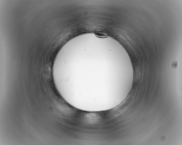 X0000090470183200708102142