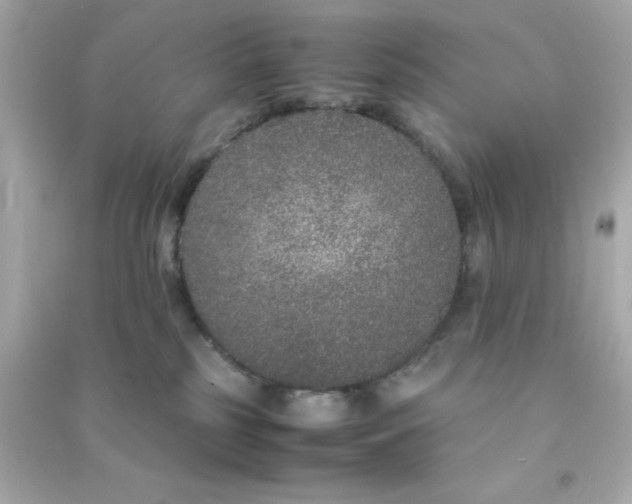 X0000090470185200708102142