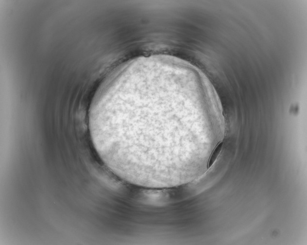 X0000090470187200708102142