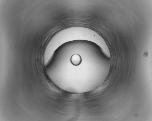 X0000090470188200708102142