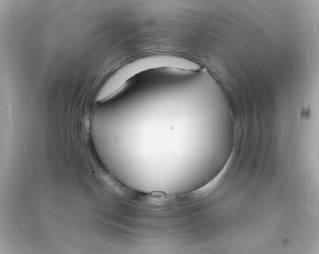 X0000090470190200708102142