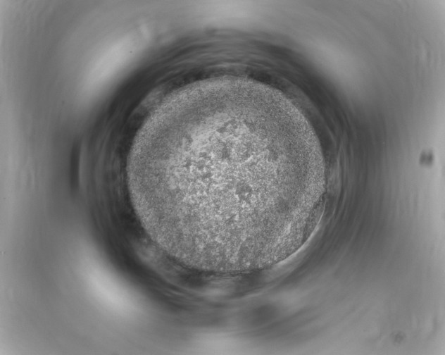 X0000090470191200708102142