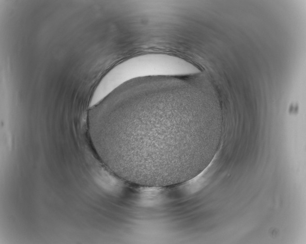 X0000090470192200708102142