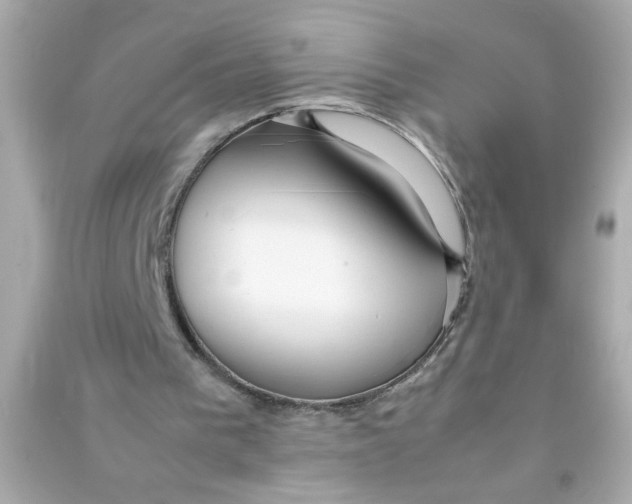 X0000090470193200708102141