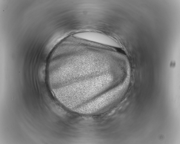 X0000090470194200708102141