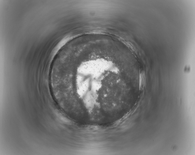 X0000090470195200708102141