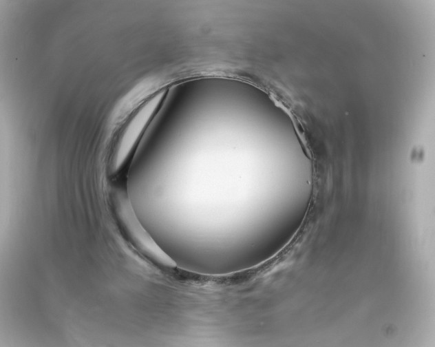 X0000090470197200708102141