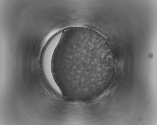 X0000090470200200708102141