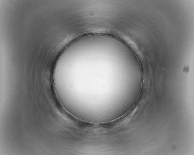 X0000090470201200708102141