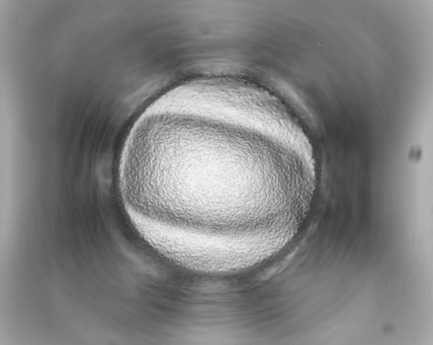 X0000090470202200708102141