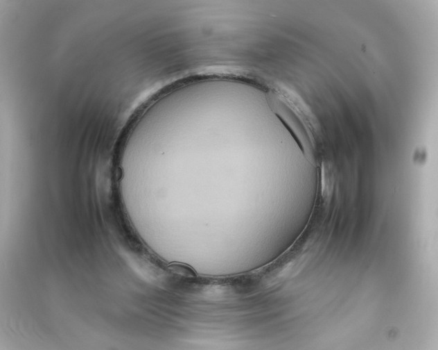 X0000090470204200708102141