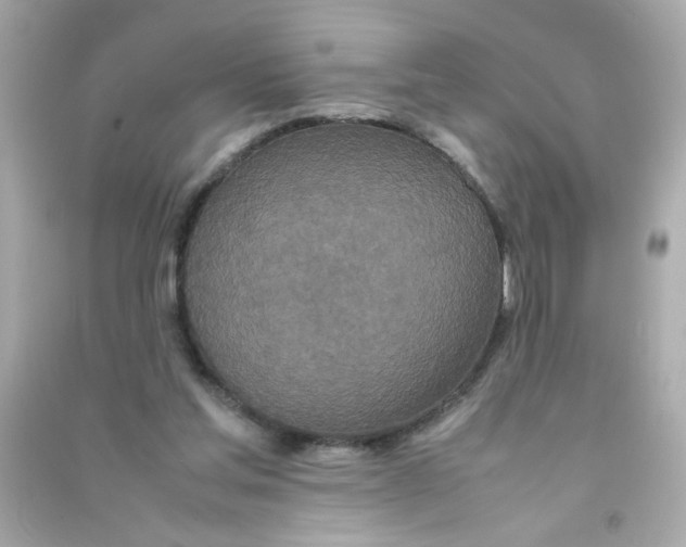 X0000090470205200708102141