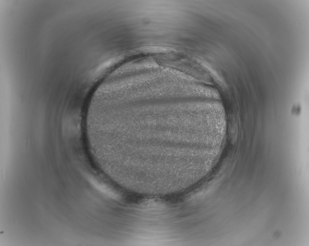 X0000090470207200708102141