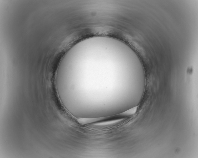 X0000090470209200708102141