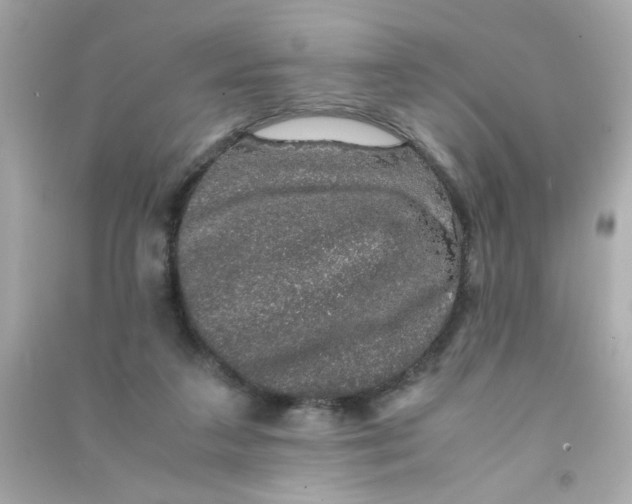 X0000090470211200708102141