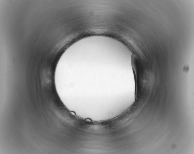 X0000090470212200708102141