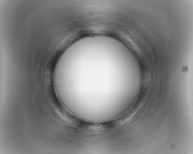 X0000090470213200708102141