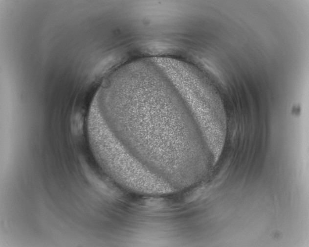 X0000090470214200708102141