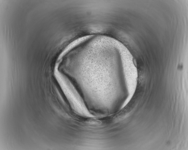 X0000090470215200708102141