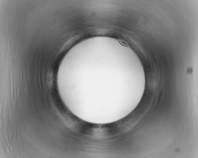 X0000090470216200708102141