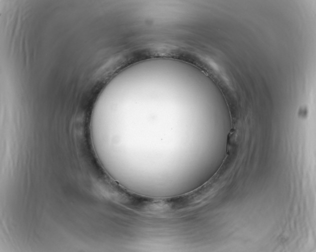 X0000090470217200708102141