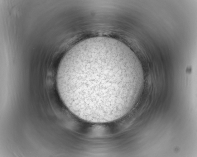 X0000090470218200708102141