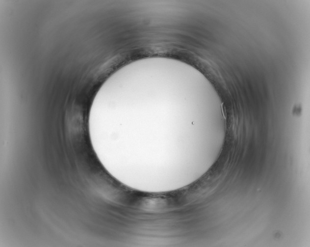 X0000090470220200708102141