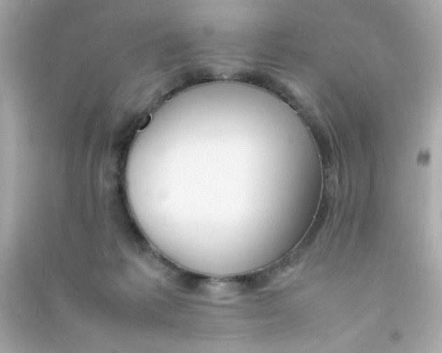 X0000090470221200708102141