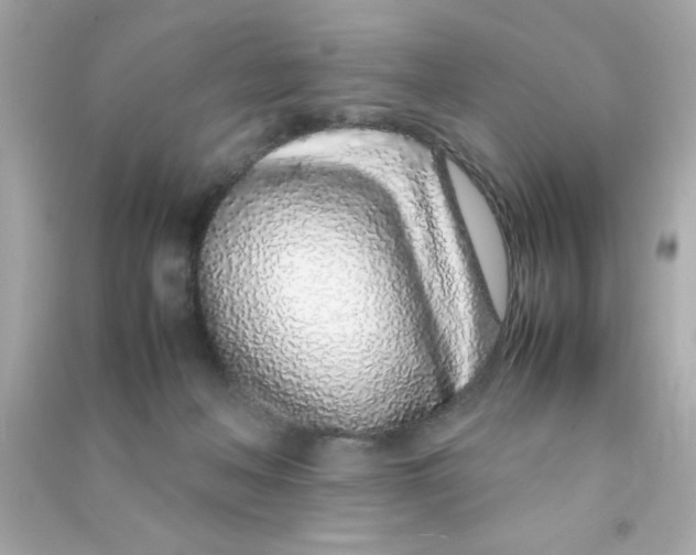 X0000090470222200708102141