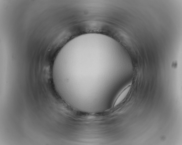 X0000090470224200708102141