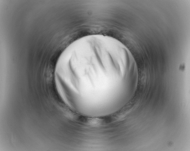 X0000090470226200708102141